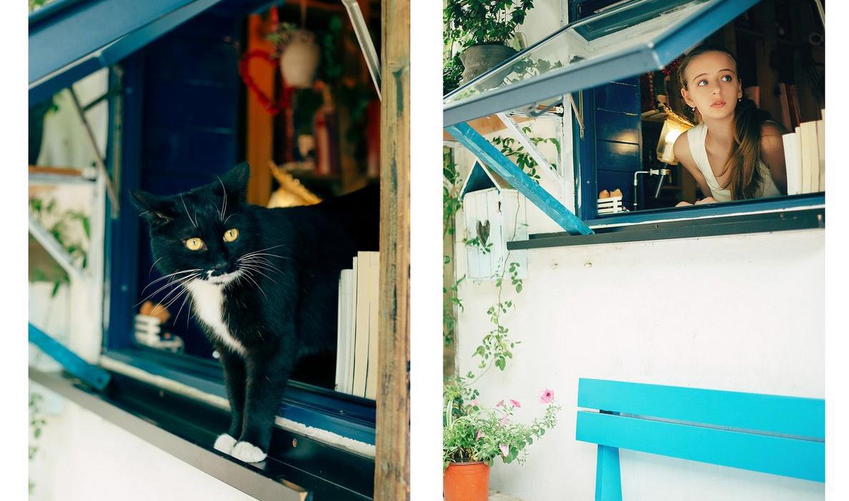 我们家的小小动物园作文